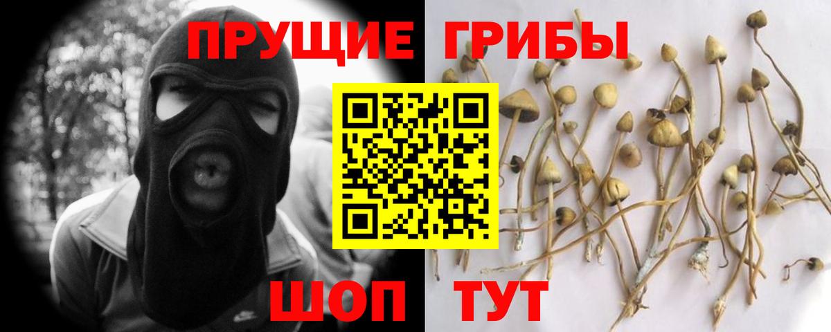 Галлюциногенные грибы MAGIC MUSHROOMS  Вход с VPN  закладка  Ревда 